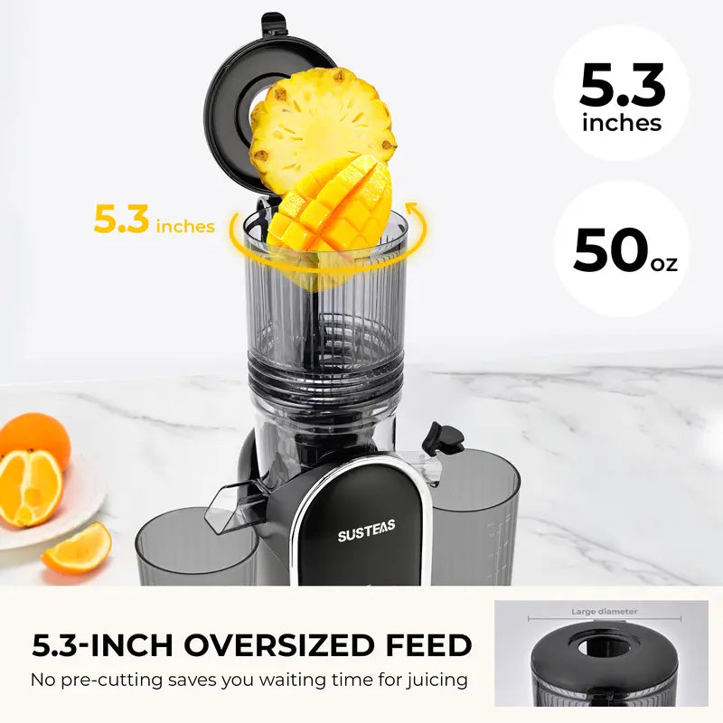 Premium Cold Press Juicer