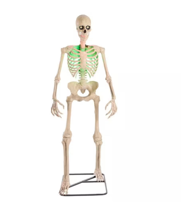 Giant-Sized Skelly