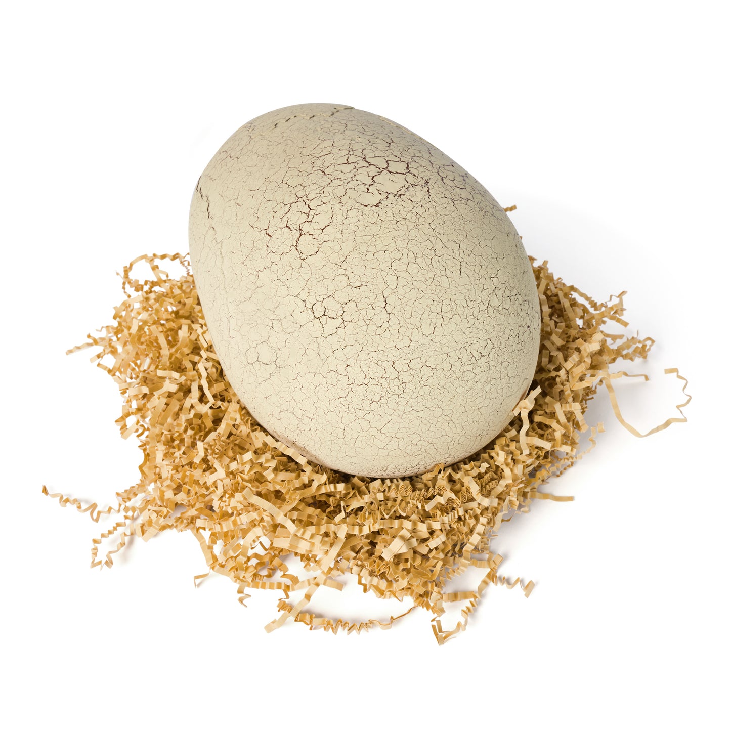 Jurassic World Hatching Dinosaur Egg-2 Pack