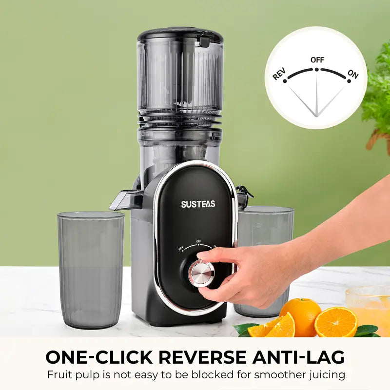 Premium Cold Press Juicer