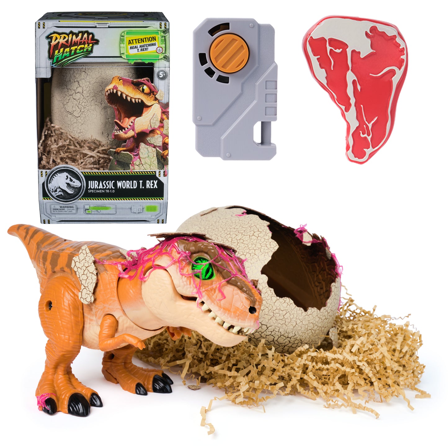 Jurassic World Hatching Dinosaur Egg-2 Pack