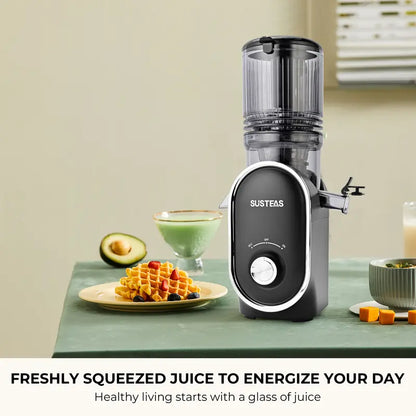 Premium Cold Press Juicer
